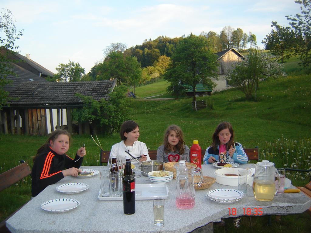 Biohof Stockinger Villa Kirchbach  Luaran gambar